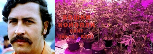 круглые Волоколамск