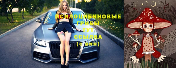 а пвп мука Тайга