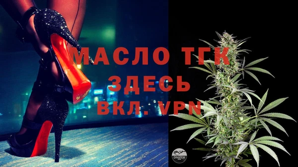 дмт Тавда