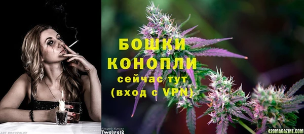 гидра Володарск