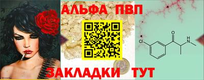 стаф Владимир