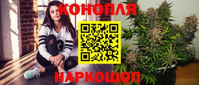 стаф Владимир