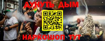 стаф Владимир