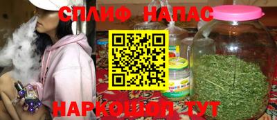 стаф Владимир