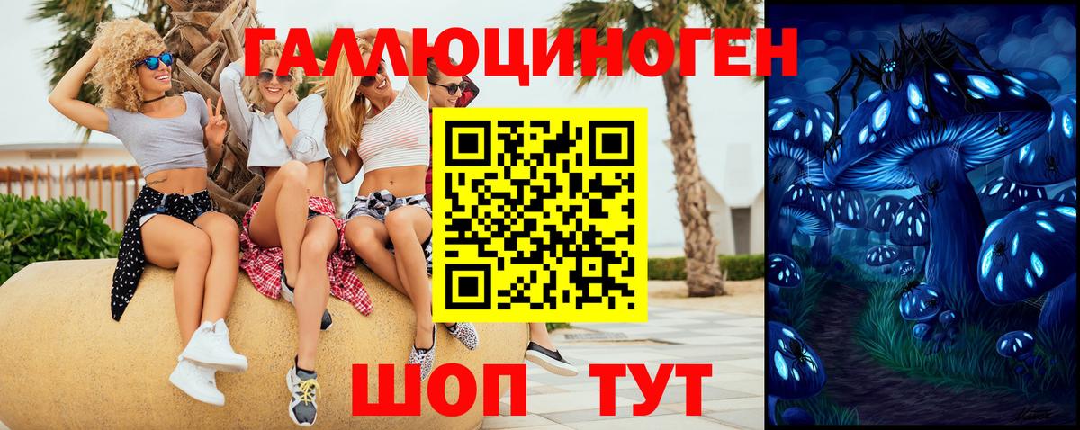 Галлюциногенные грибы GOLDEN TEACHER  Вход с VPN  Мончегорск 