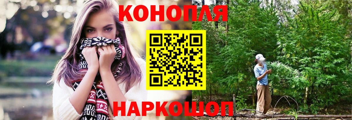 Бошки Шишки планчик Мончегорск